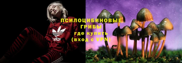 прущие крисы Горно-Алтайск