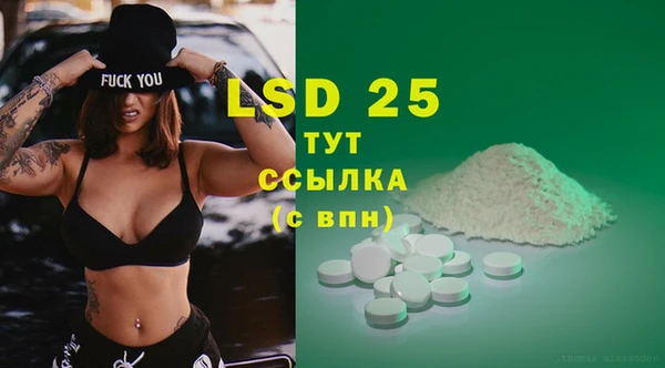 ПСИЛОЦИБИНОВЫЕ ГРИБЫ Горнозаводск
