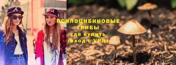 ПСИЛОЦИБИНОВЫЕ ГРИБЫ Горнозаводск