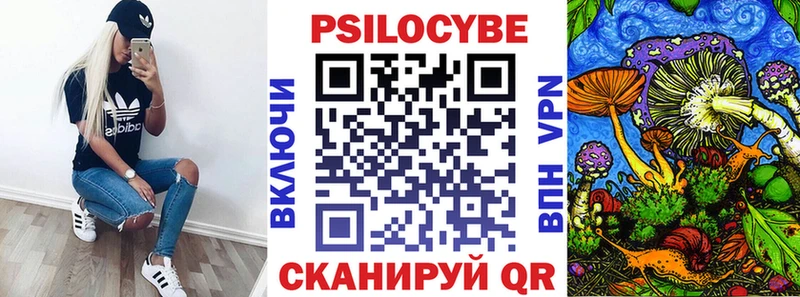 Псилоцибиновые грибы Psilocybine cubensis  Нальчик 